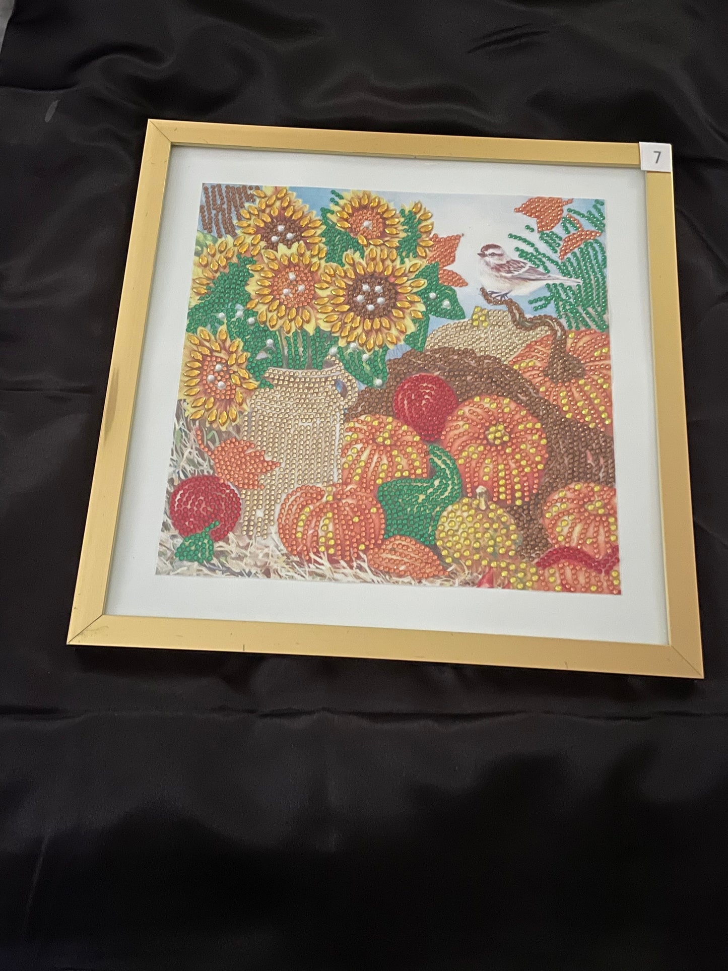 Diamond art  framed pictures